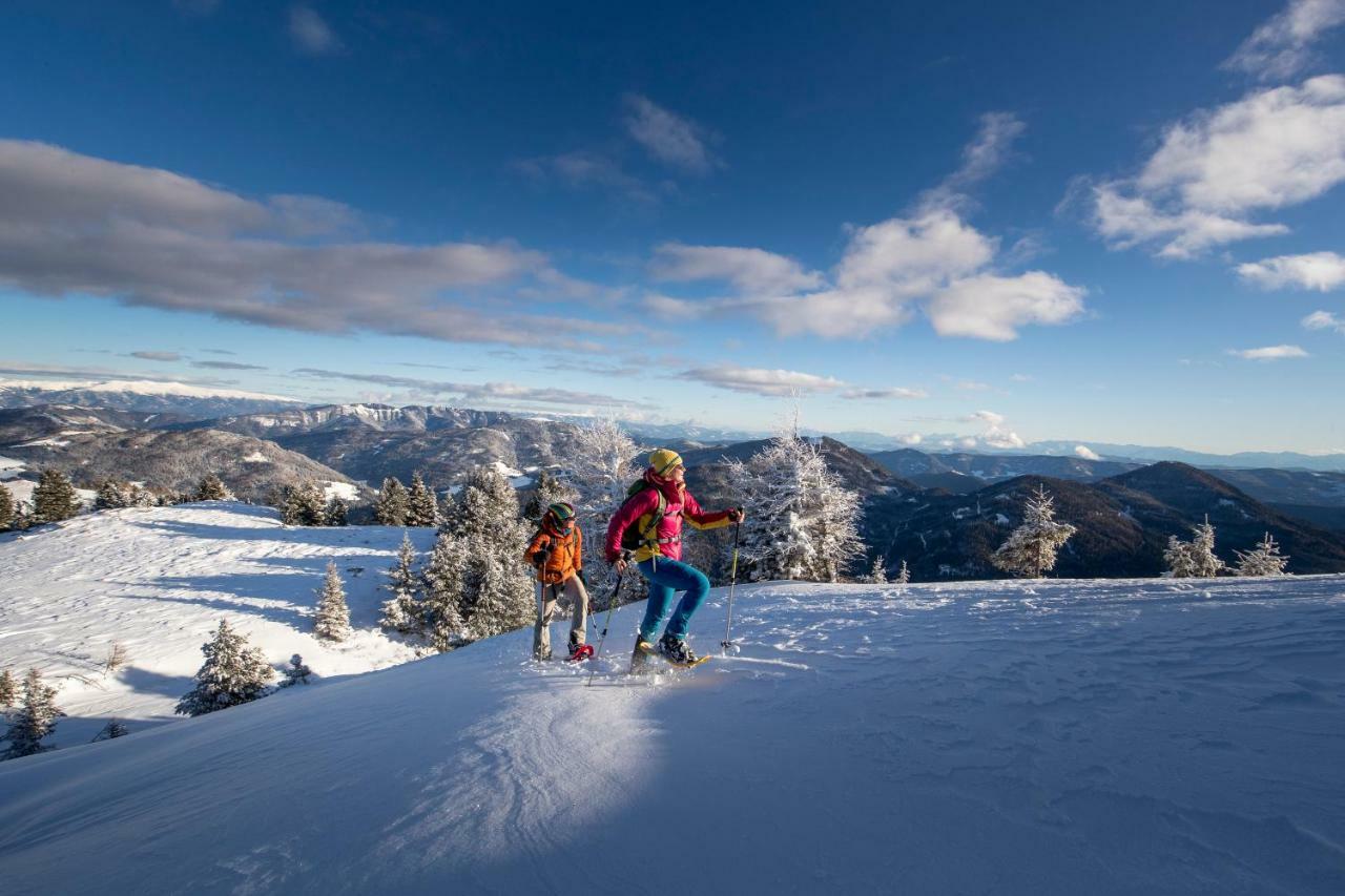 Luxury Chalet Kreischberg 11A Sankt Lorenzen ob Murau Eksteriør billede